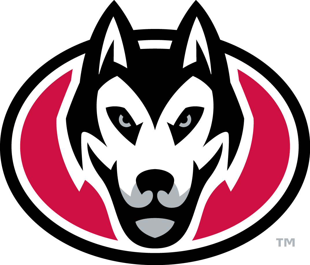 St.Cloud State Huskies 2014-Pres Secondary Logo 01 vinyl decal